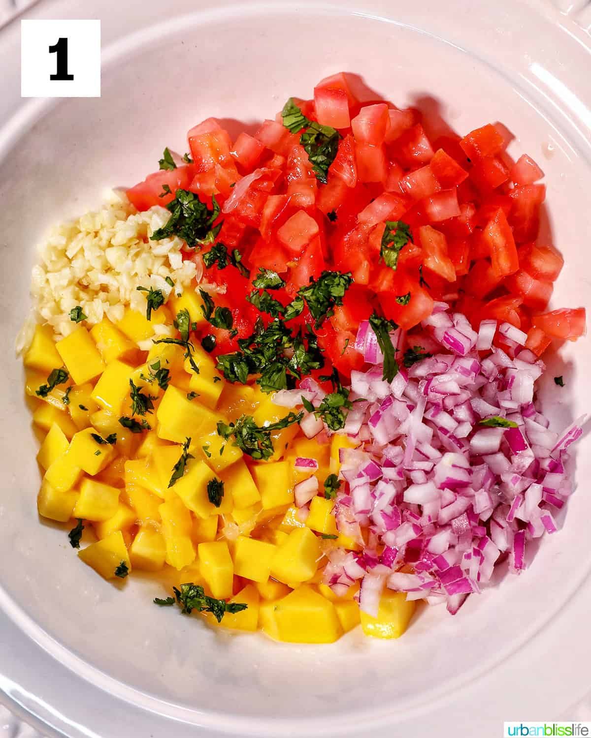 ingredients to make mango pico de gallo in a large white bowl