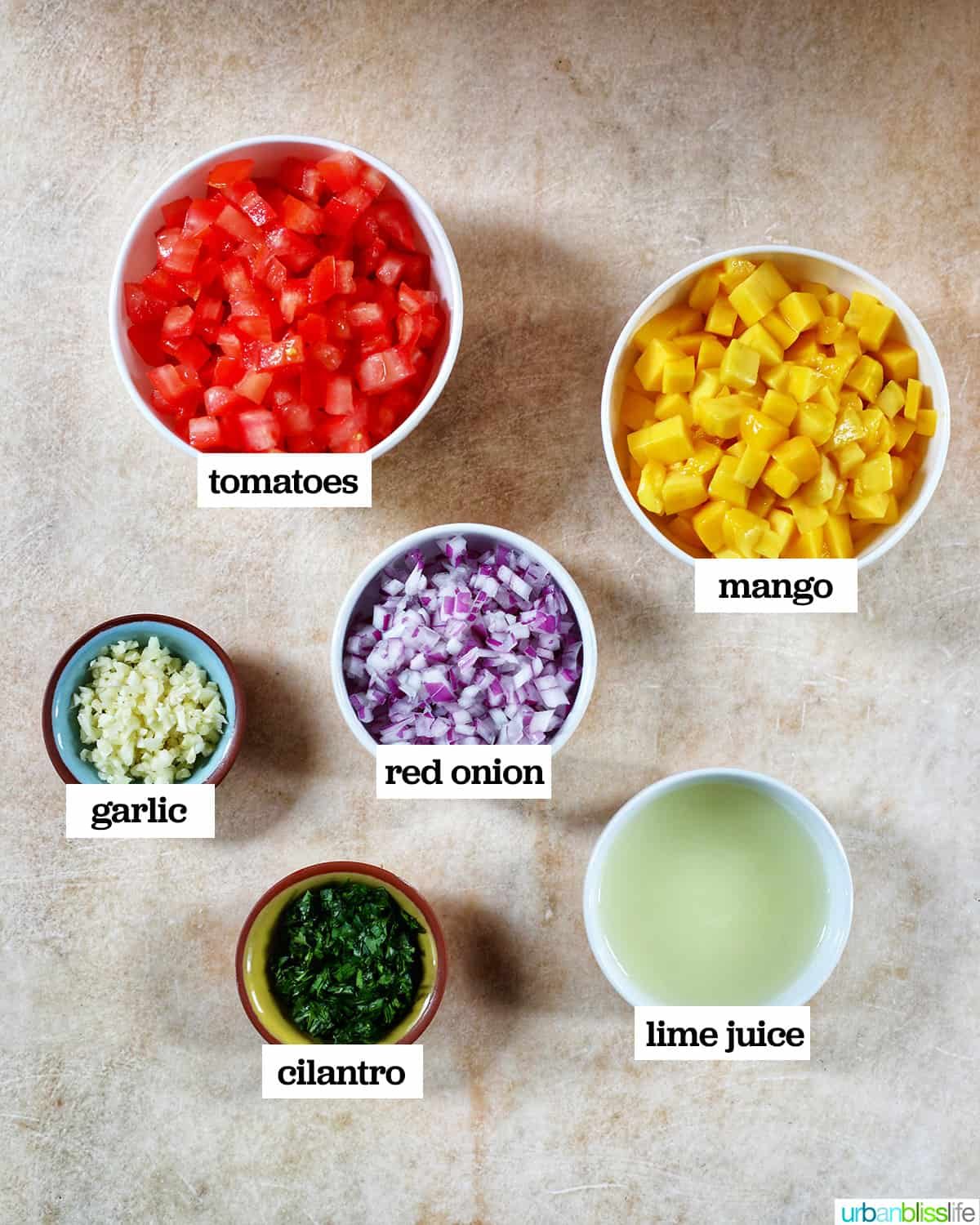 bowls of ingredients to make mango pico de gallo salsa on a light table.