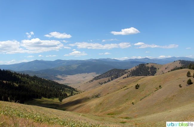 Travel: National Bison Range, Montana on UrbanBlissLife.com