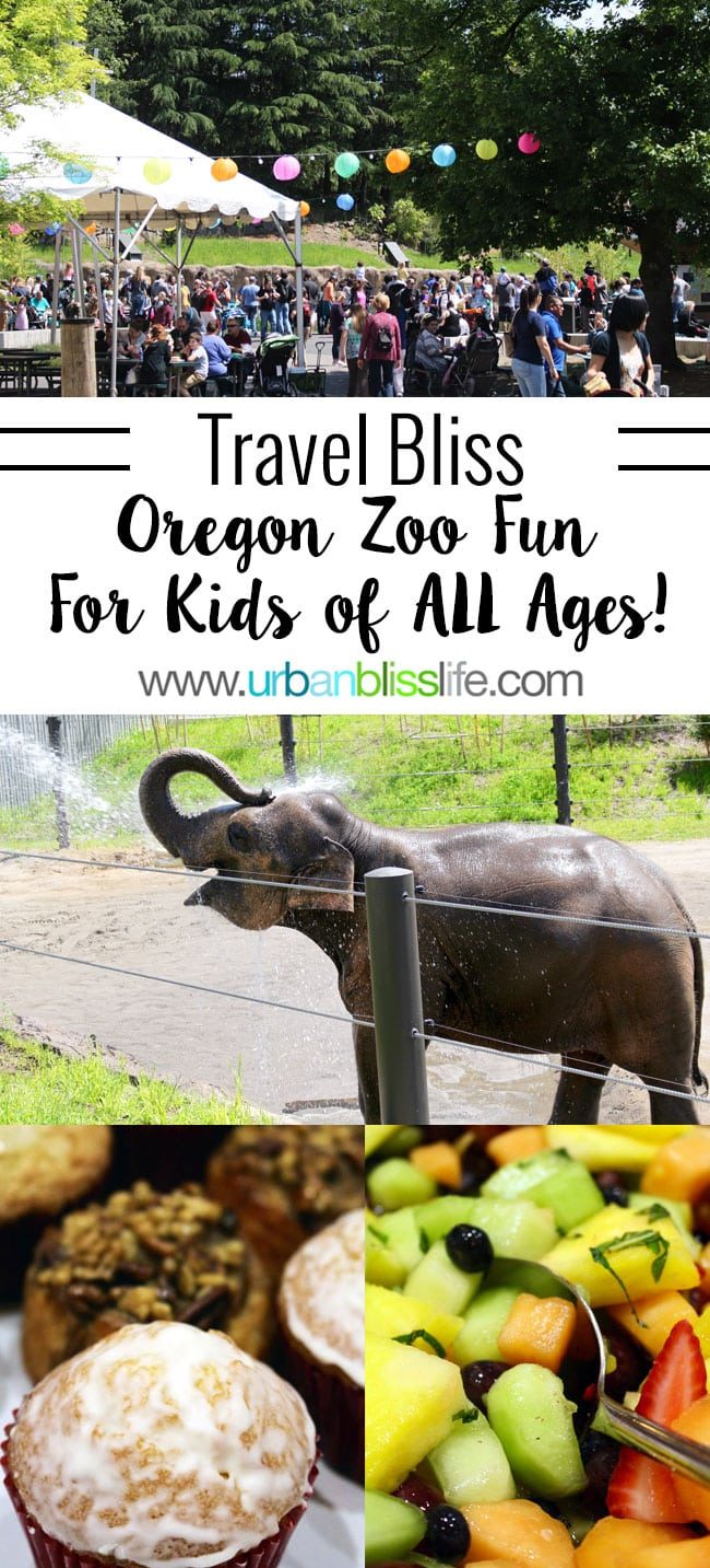 The Oregon Zoo offers fun for kids of all ages! Travel tips on UrbanBlissLife.com