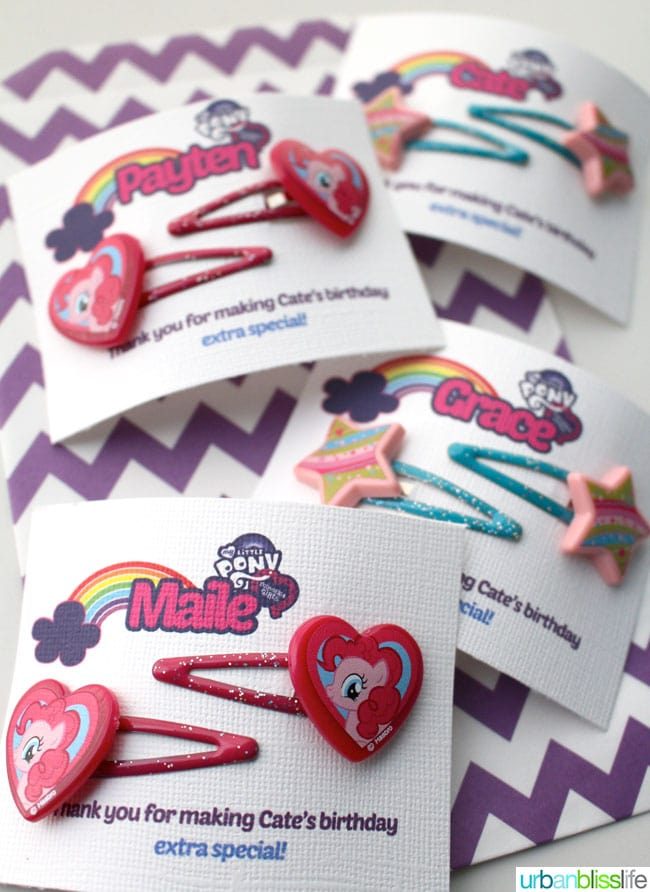 The Little Pony Hair Clips