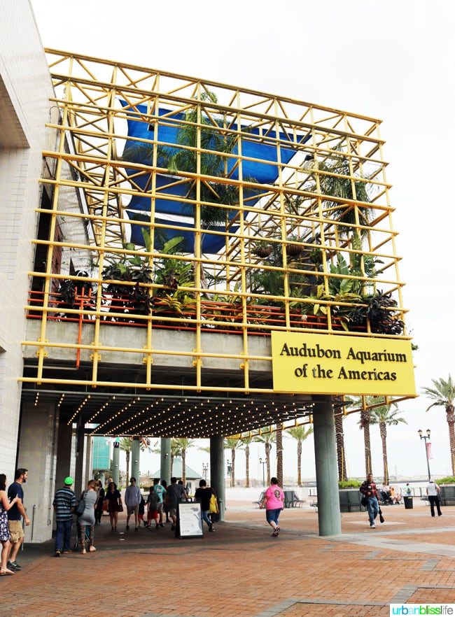 Family fun activities in New Orleans, Louisiana on UrbanBlissLife.com