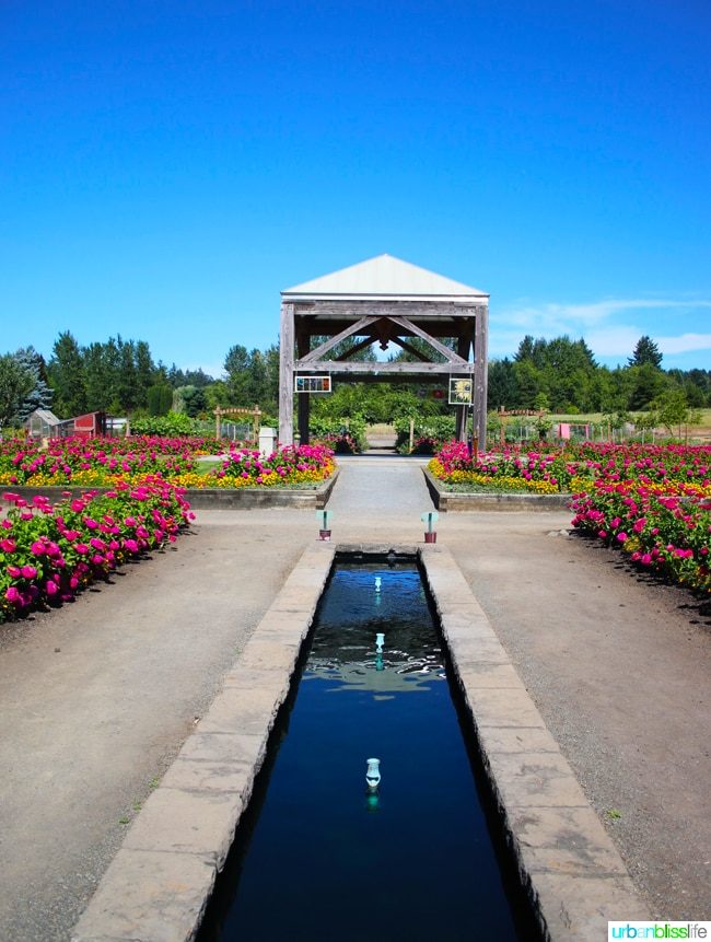 The Oregon Garden travel on UrbanBlissLife.com