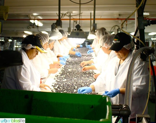 Oregon Fruit Products tour