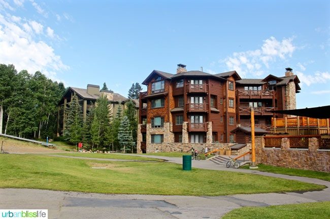 lodge with forest