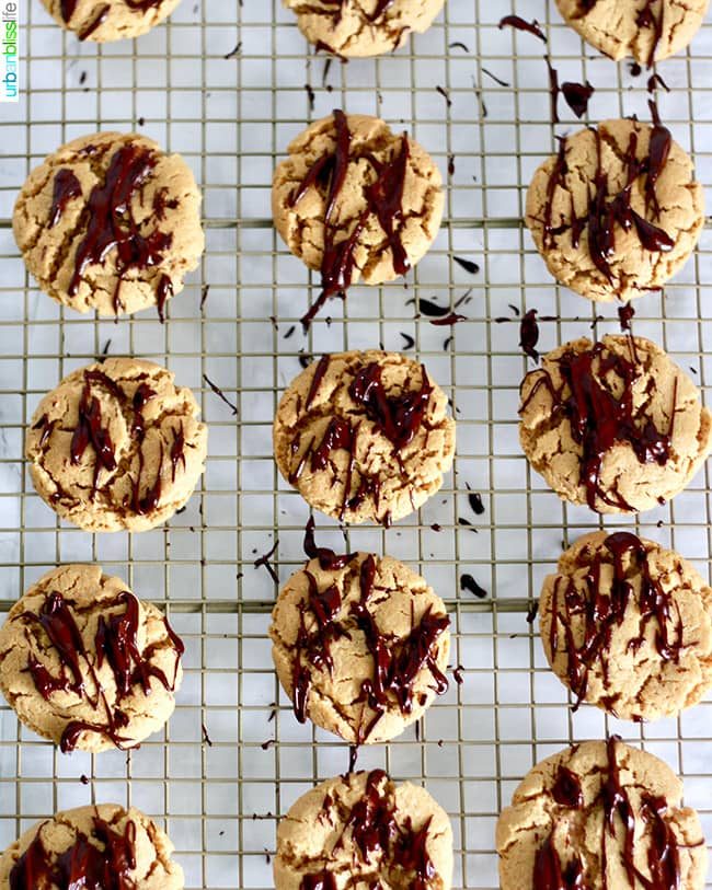 Simple Peanut Butter Cookies with Chocolate Drizzle