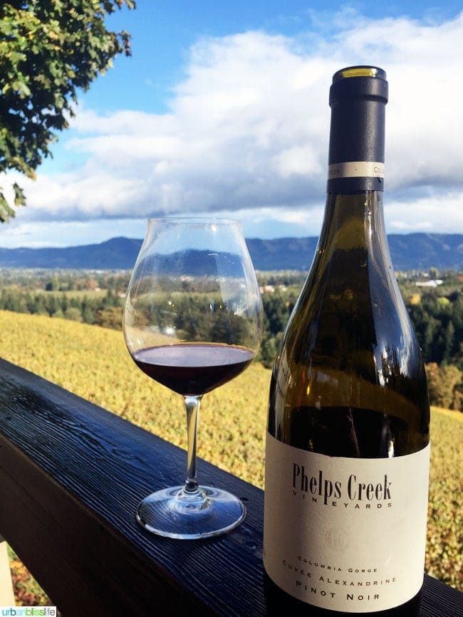 Phelps Creek Vineyard in Hood River