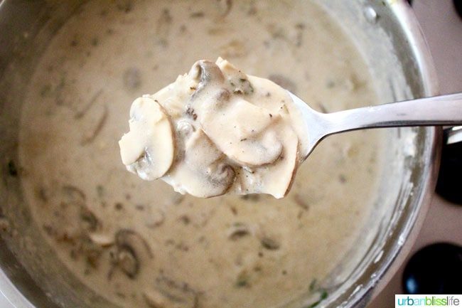 Pork Tenderloin Pasta with Mushroom Herb Sauce, Dairy-Free - recipe on UrbanBlissLife.com