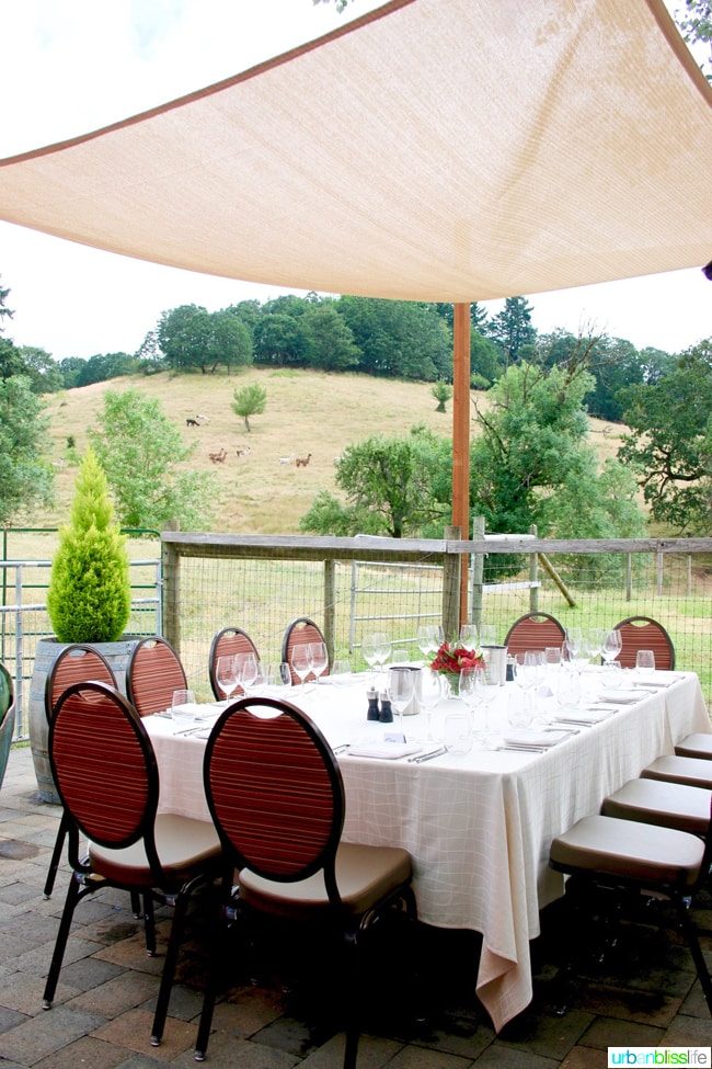 table set for lunch