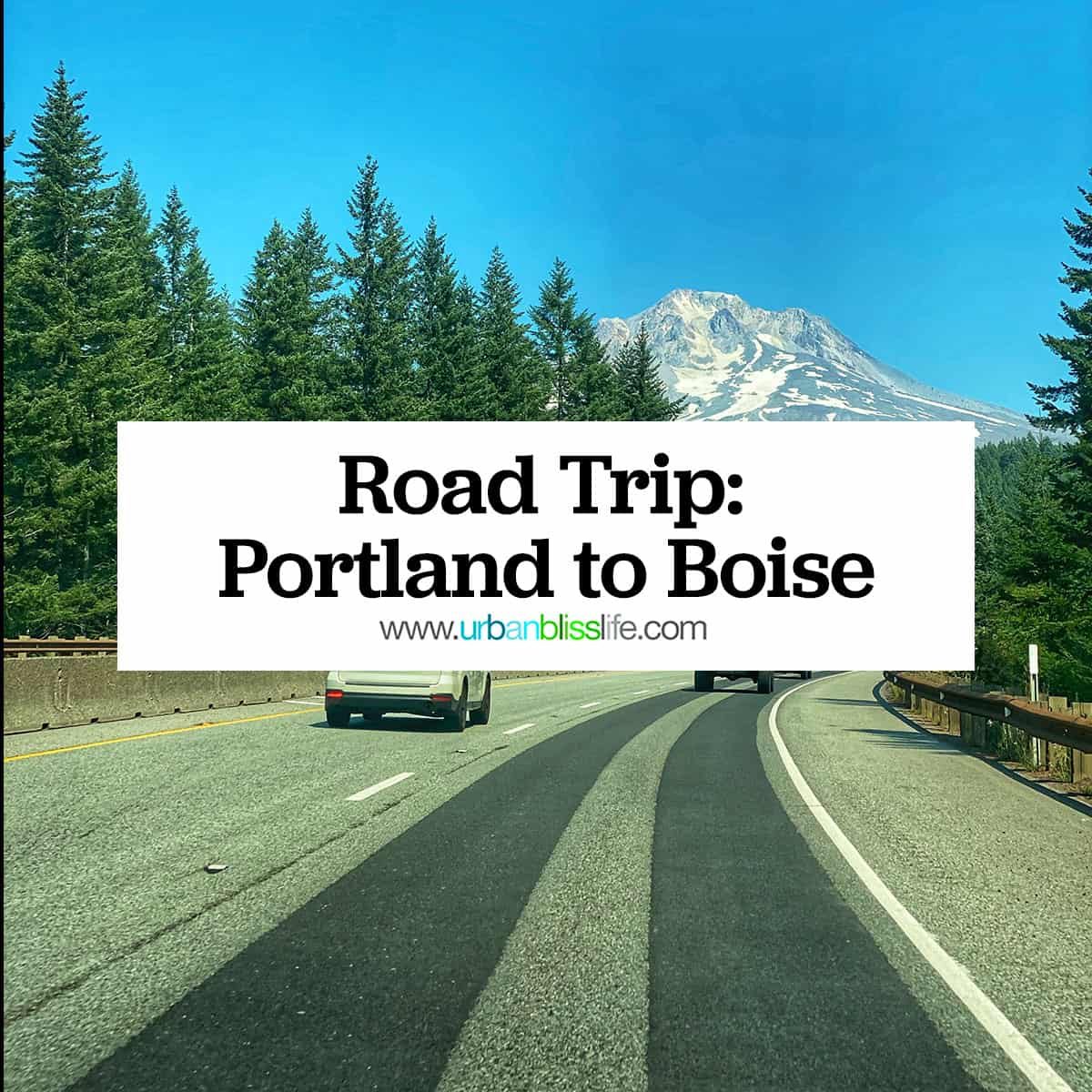 highway with cars on it leading to Mount Hood.