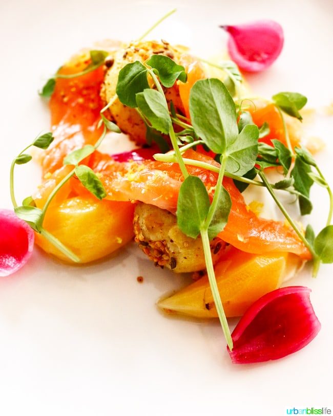 cured chinook salmon at salishan restaurant samphire
