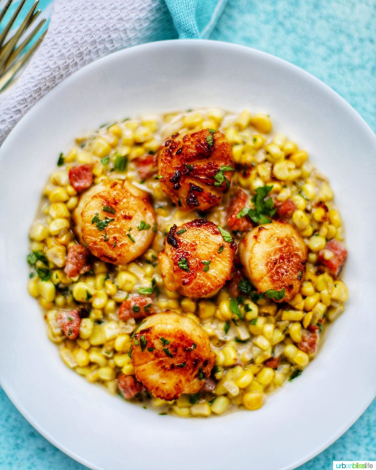 Seared Scallops and Corn in white bowl