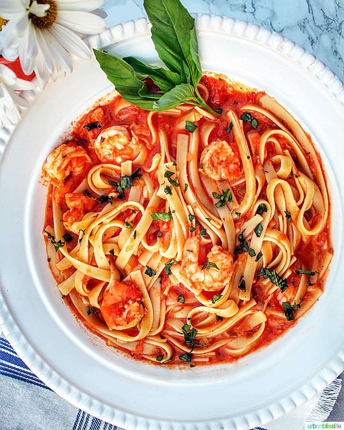 bowl of shrimp fettuccine with sprig of basil
