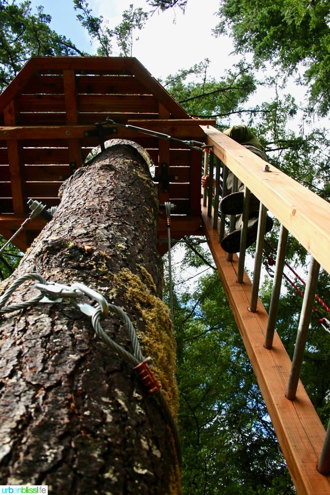 Skamania Lodge Aerial Park. Travel stories & hotel reviews on UrbanBlissLife.com