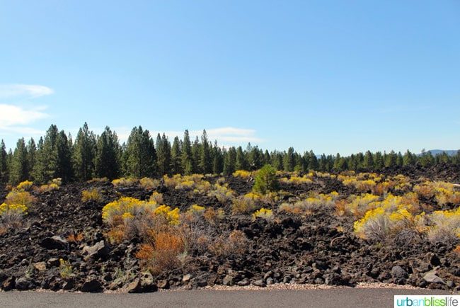 Central Oregon Road Trip: Lava Rocks