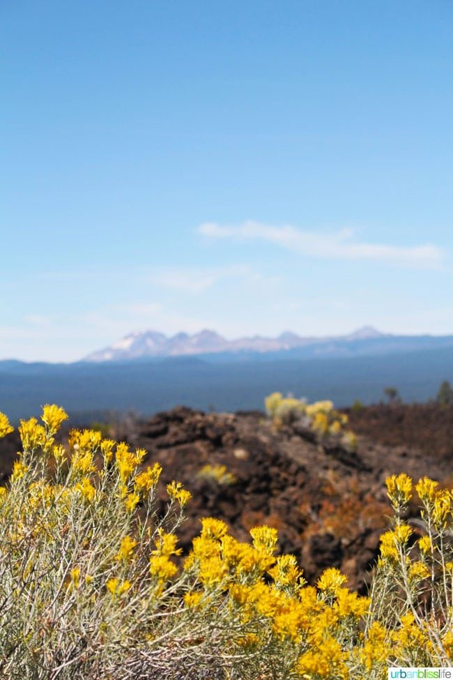 Central Oregon Road Trip: Lava Rocks