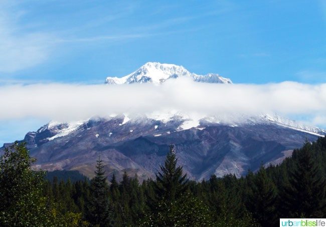 Mt Hood