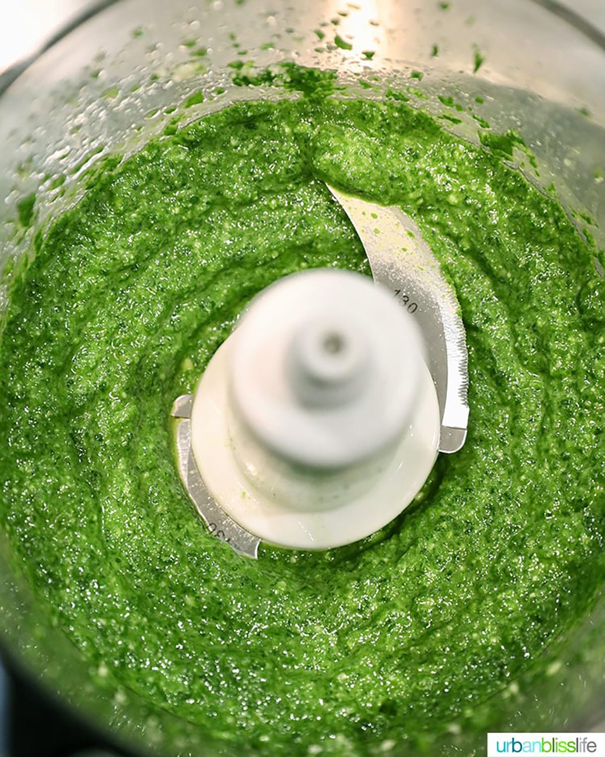 creamy pesto in blender