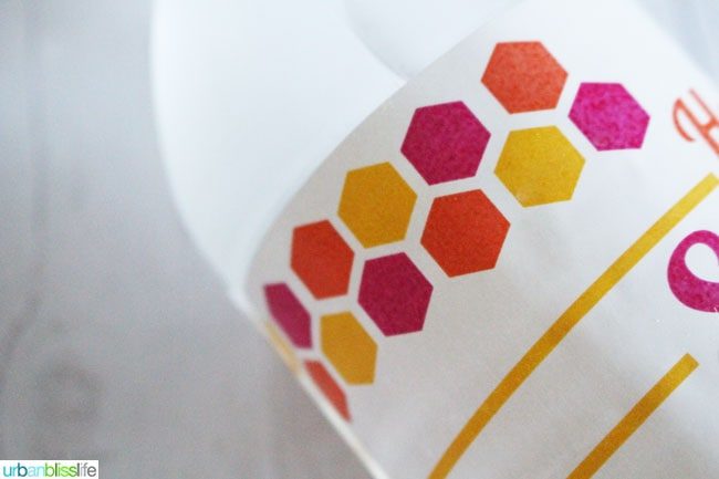 Free Summer Printables: Road Trip Games & Water Bottle Labels on UrbanBlissLife.com