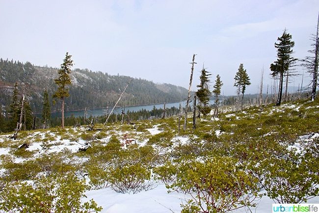 hiking above Suttle Lodge in Sisters, Oregon