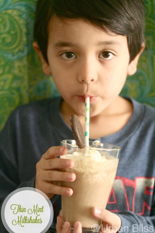 Girl Scout Cookies Thin Mint Milkshake Recipe