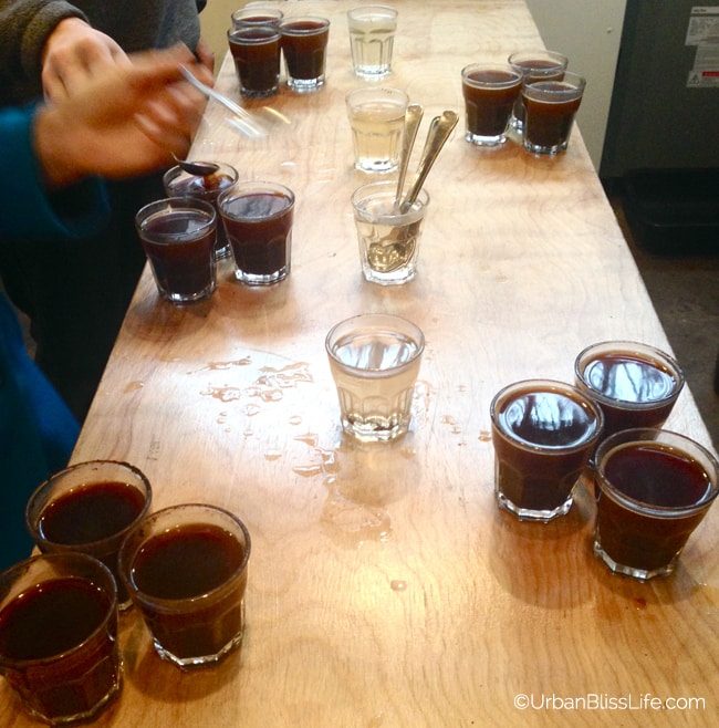 Third Wave Coffee Tour - Nossa Familia 3