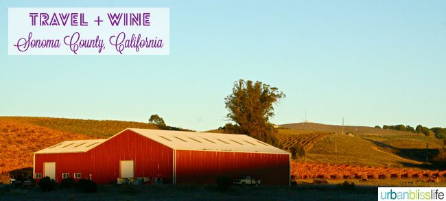 farms vineyards of sonoma county, california wine country
