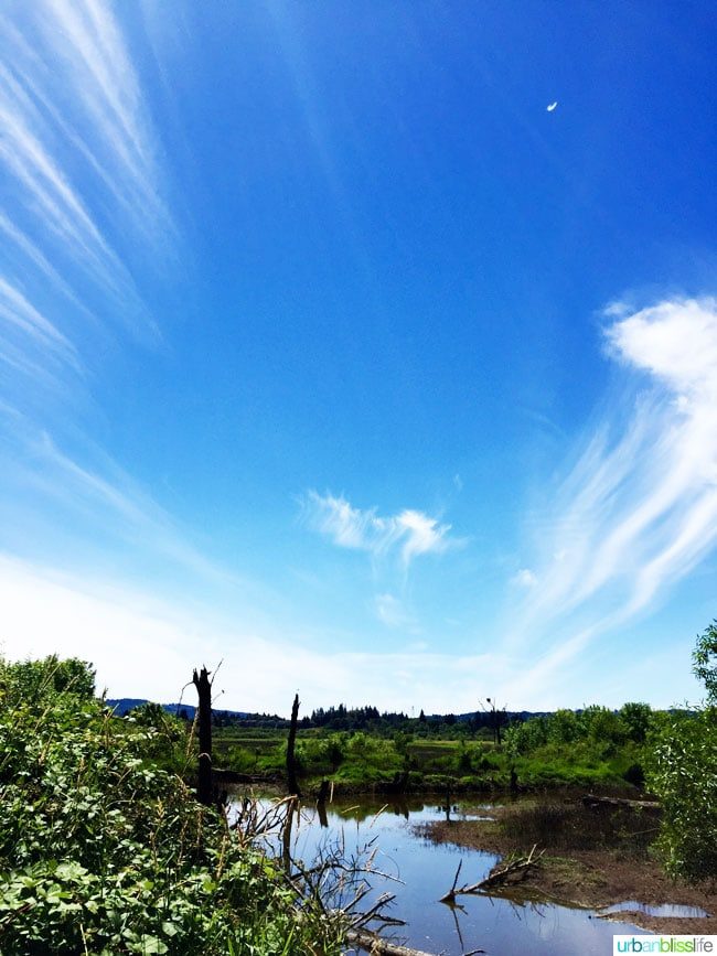 Travel to Tualatin River National Wildlife Refuge on UrbanBlissLife.com