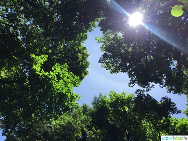 Travel to Tualatin River National Wildlife Refuge on UrbanBlissLife.com