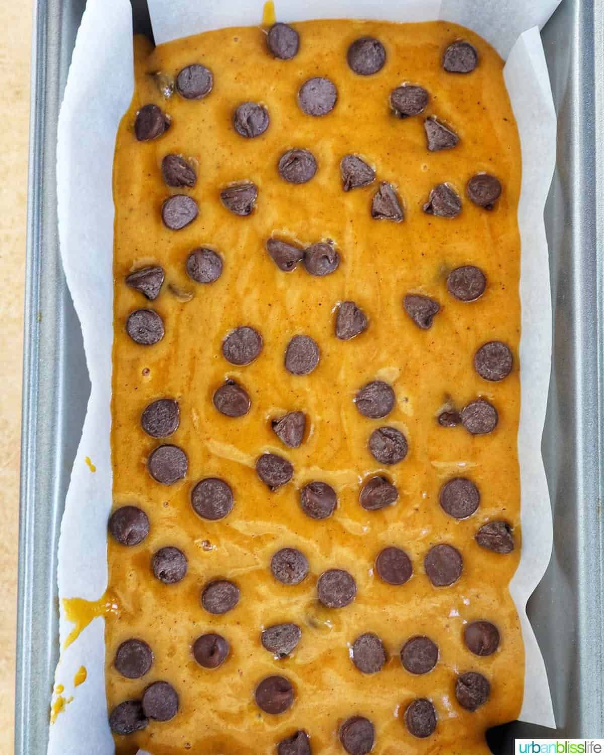 chocolate chips added to the top of chocolate chip pumpkin bread batter.