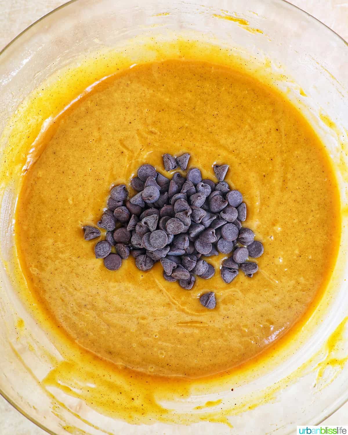 chocolate chips added to chocolate chip pumpkin bread batter.