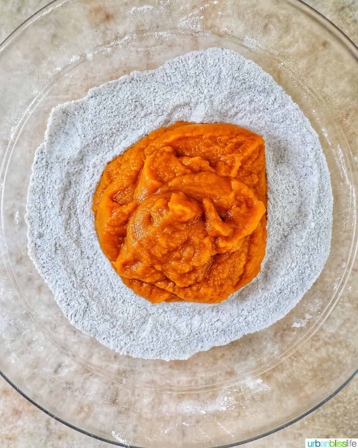 pumpkin puree added to chocolate chip pumpkin bread batter.