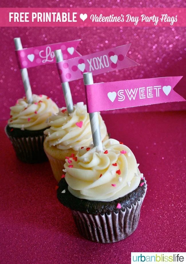 Valentine's Day Printable Party Flags