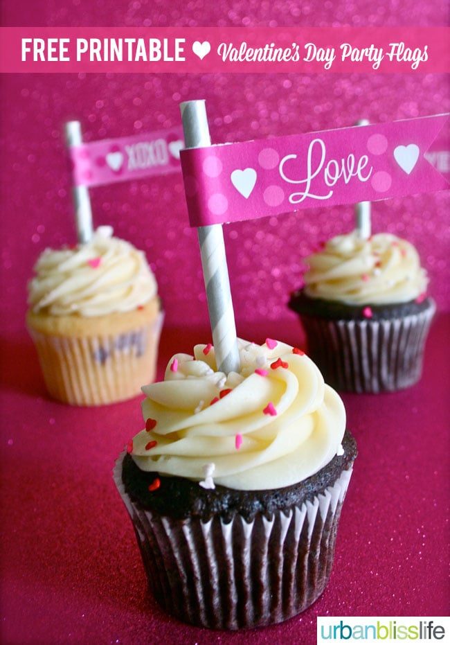 Valentine's Day Printable Party Flags