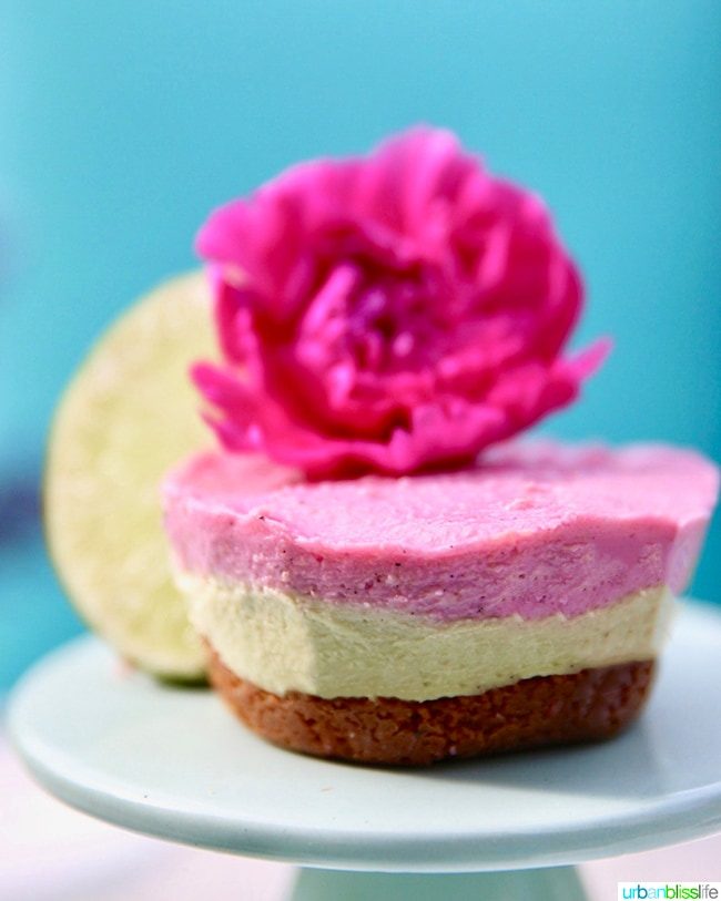 Mini Vegan Cheesecakes with Avocado, Lime, & Pink Pitaya