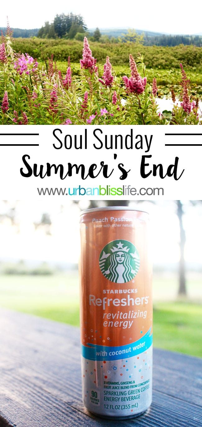 Summer's End on UrbanBlissLife.com