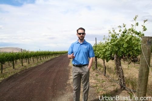 WA Wine Country - Terra Blanca - 05