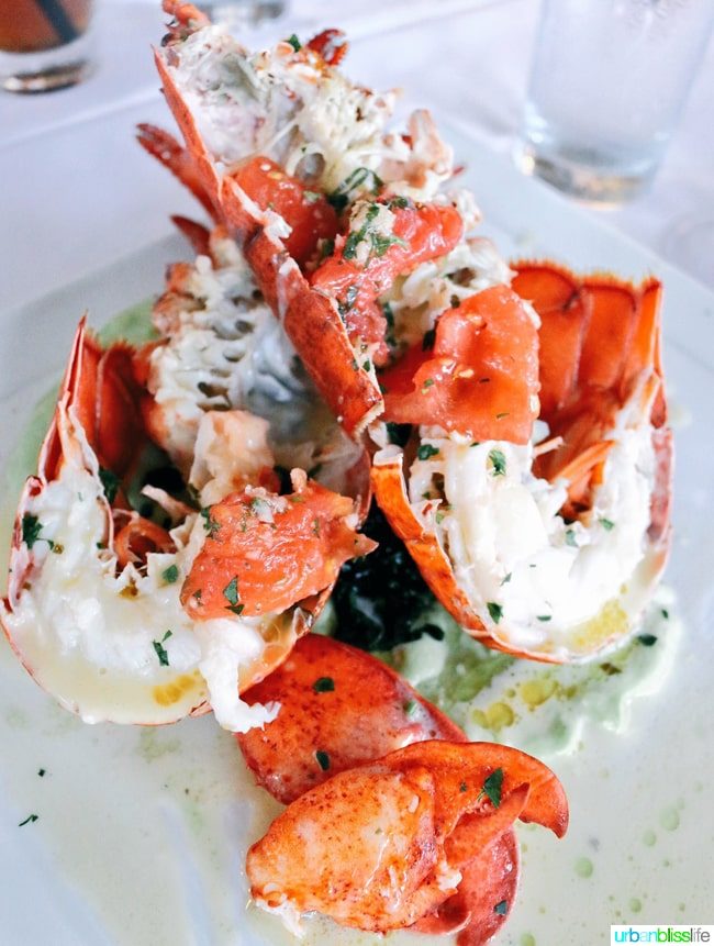 jumbo lobster