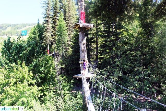 Whitefish Mountain Resort aerial park