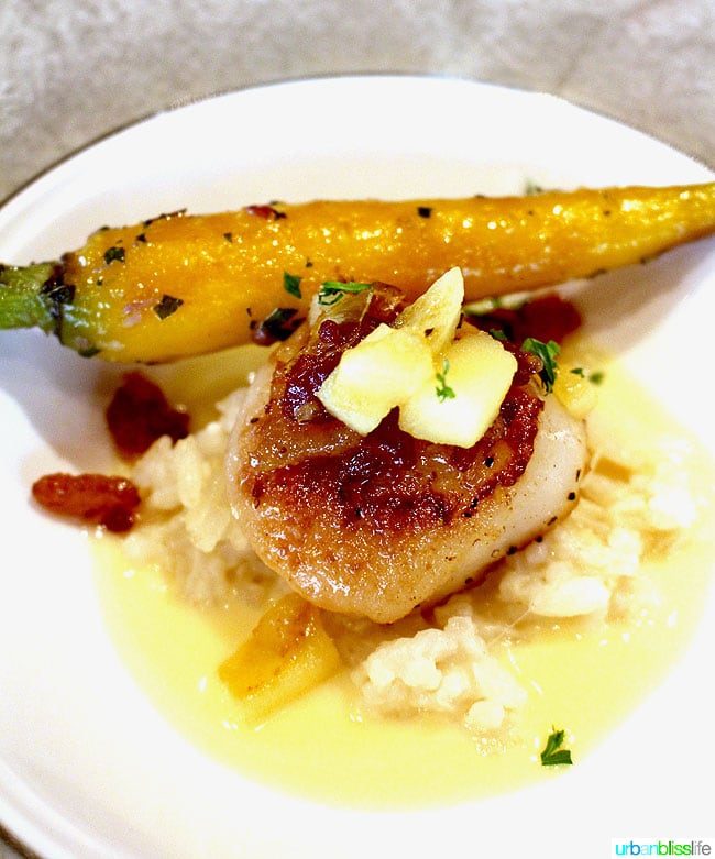 Scallops