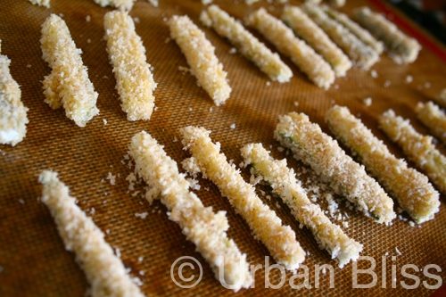 Urban Bliss Zucchini Fries