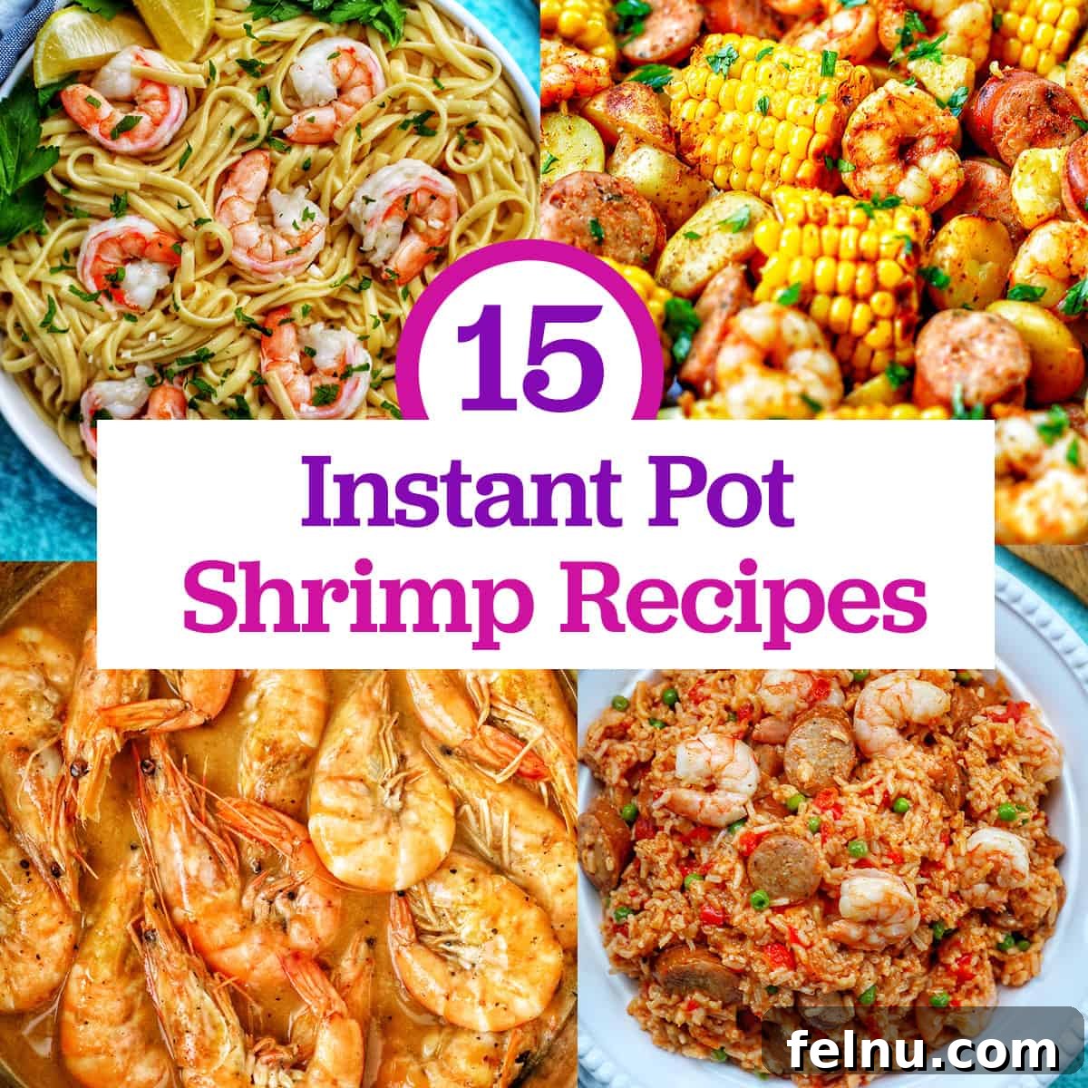 featured 101150