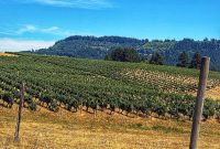 Ridgecrest Vineyards: A Taste of California Heritage