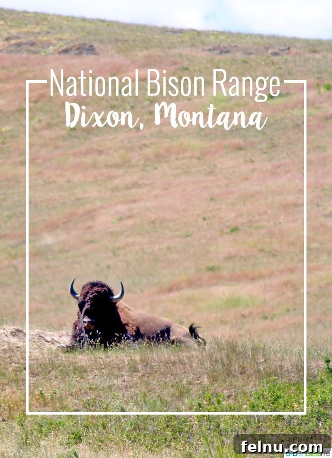 featured 17088