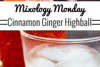 Fireside Ginger Cinnamon Fizz