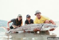Reel Adventures in BC