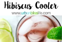 Hibiscus Bliss: A Refreshing Cocktail