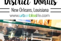 Food and Travel Bliss: NOLA Donut Delights