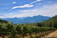 Wooldridge Creek: A Taste of Oregon’s Applegate Valley