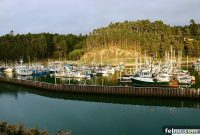 Noyo Harbor Inn: Your Coastal Escape in Fort Bragg